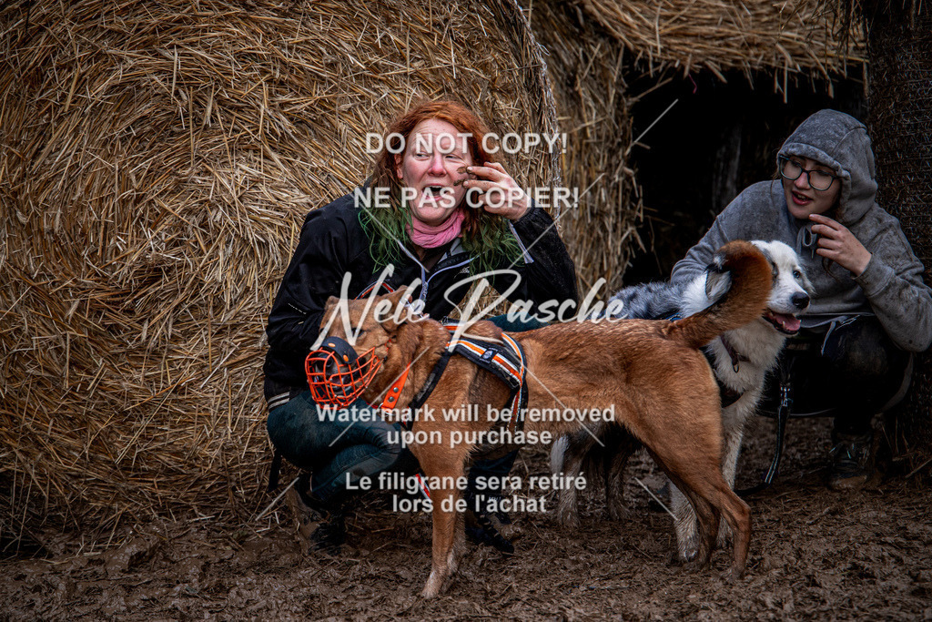 nelerasche_Hunsrück_So09-11_304 | nelerasche