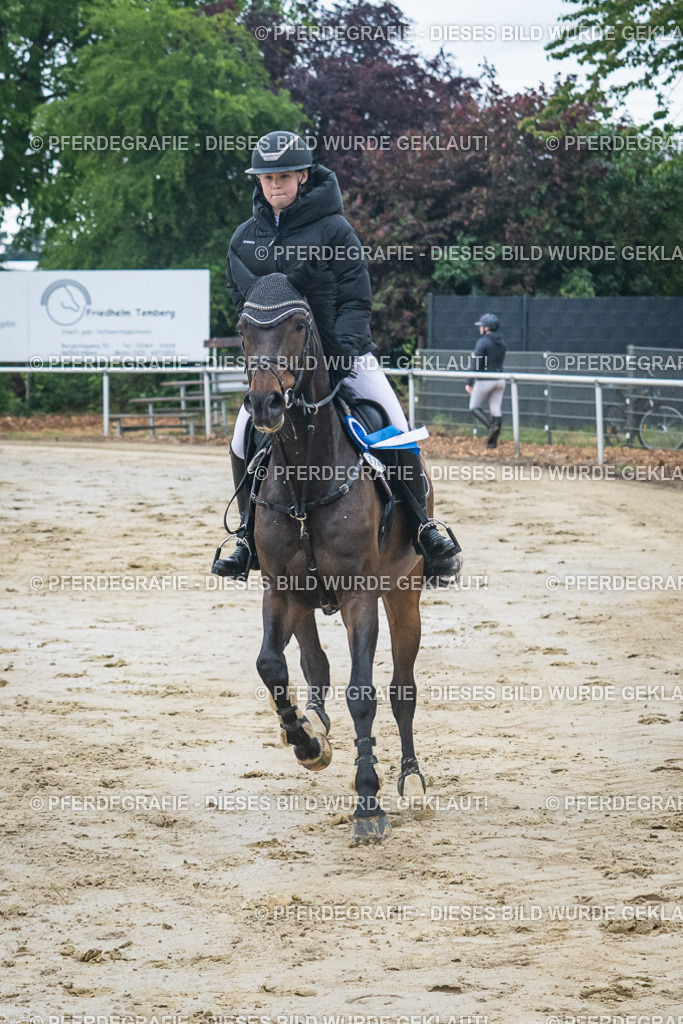 DSC04331 | Pferdegrafie