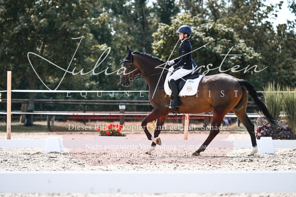 DSC_5780 | Pferde- und Turnierfotografie in Westsachsen. Pferdeportraits, Auftragszeichnungen und intuitive Kunst.