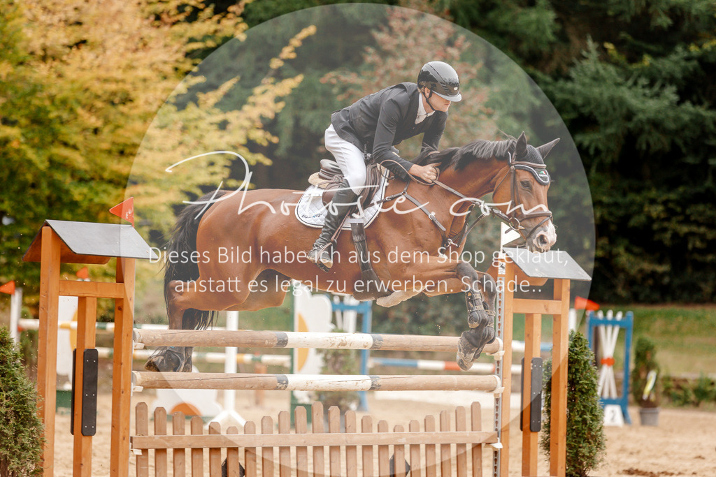 3I6A8877 | Stimmungsvolle Portraits und Reitsportfotografie im Ruhrgebiet und im Münsterland.

Pferdefotografie, Hundefotografie, Tierfotografie, Reportagen, Portraits von Tier und Mensch, Turnierfotografie in Bochum, Recklinghausen, Marl, Haltern am See, Dülmen.. - Realisiert mit Pictrs.com