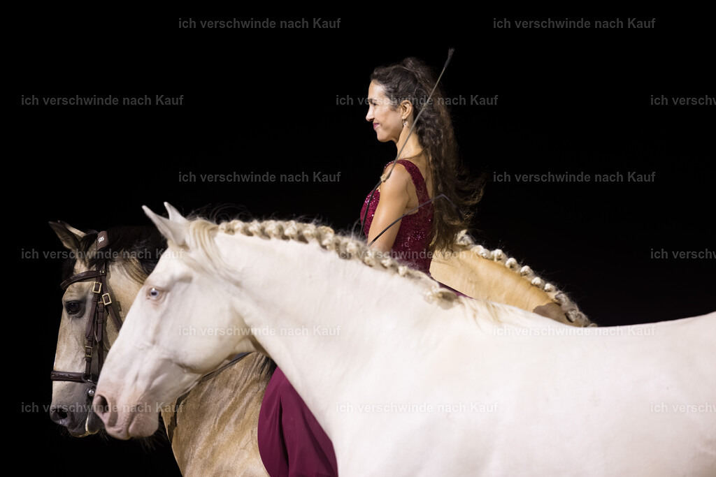 Gala-128 | working equitationturnier fotograf videograf stoibphotography marixx film working equitation deutschland reitsport turnierfotografie eventfotografie equestrian events