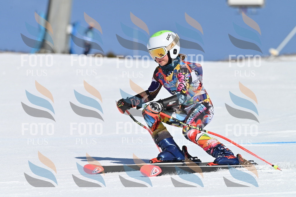 BGV_7696 | holidayphoto