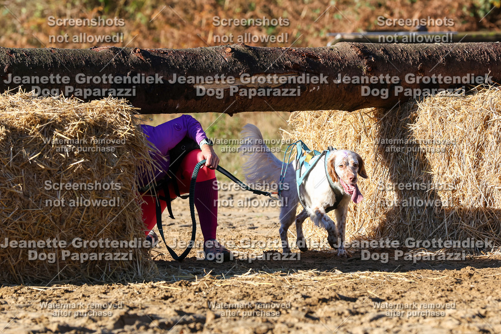 Dog Paparazzi - Strongdog 10-25-1575 | Dog Paparazzi Jeanette Grottendiek Fotografie & Videografie - Realisiert mit Pictrs.com