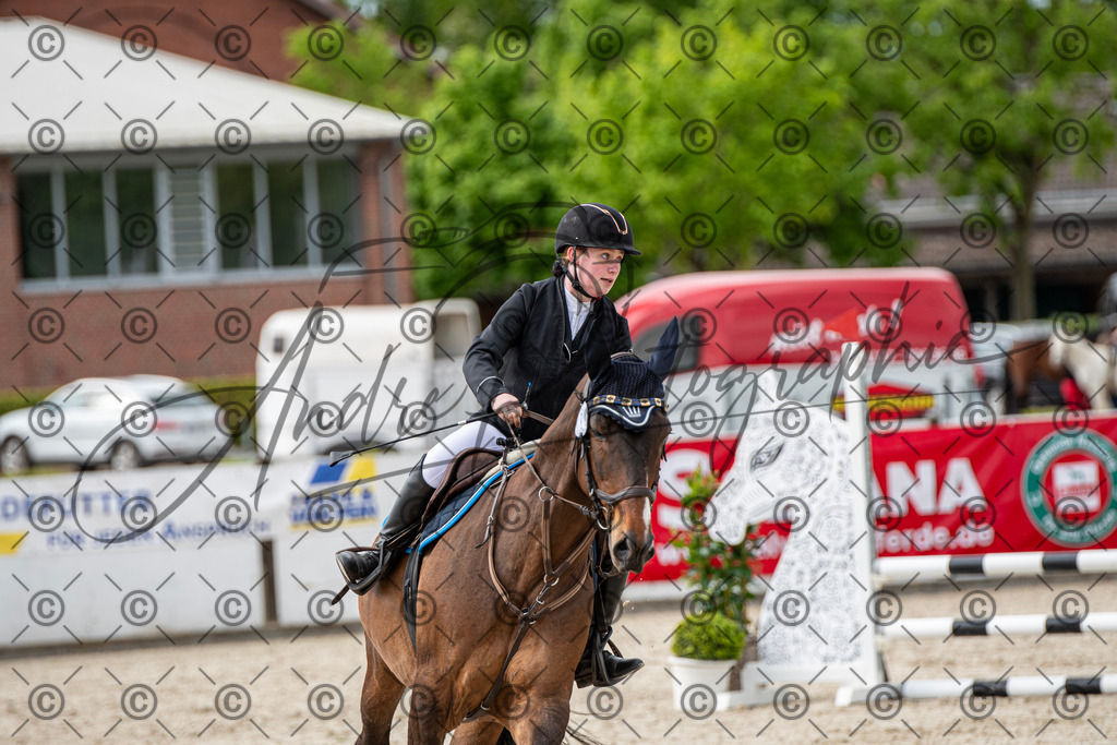 KPT_6537 | andre_photographic