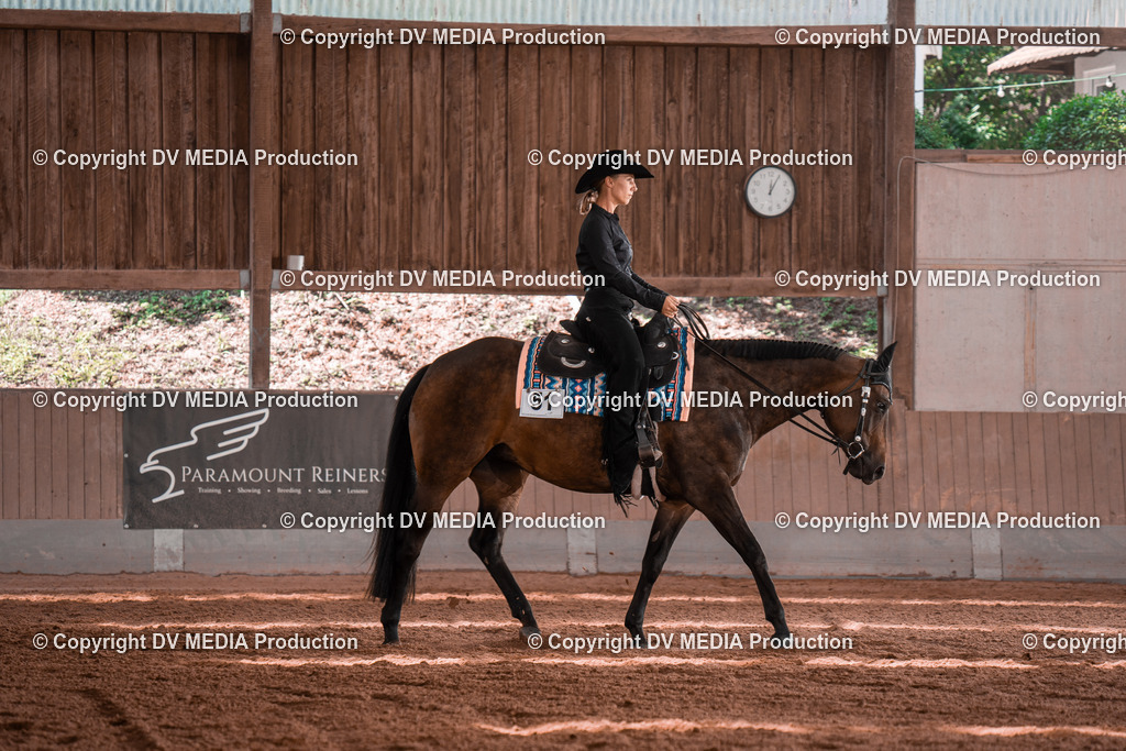 NE100407 | dv-media-shop - Realisiert mit Pictrs.com