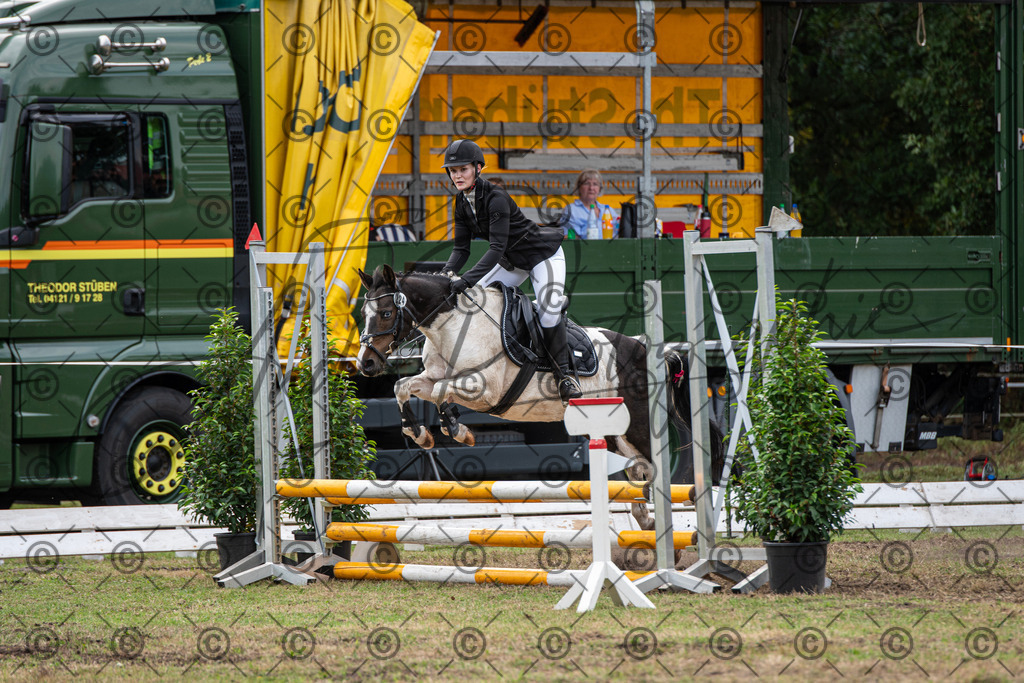 SHT_7504 | andre_photographic