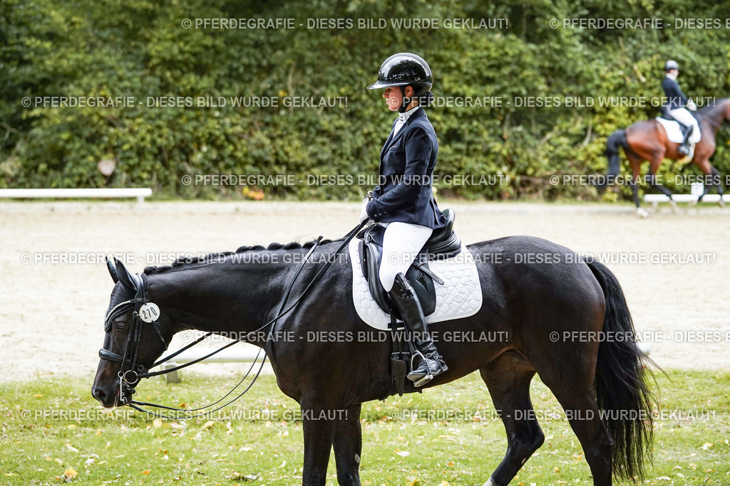 DSC07180 | Pferdegrafie