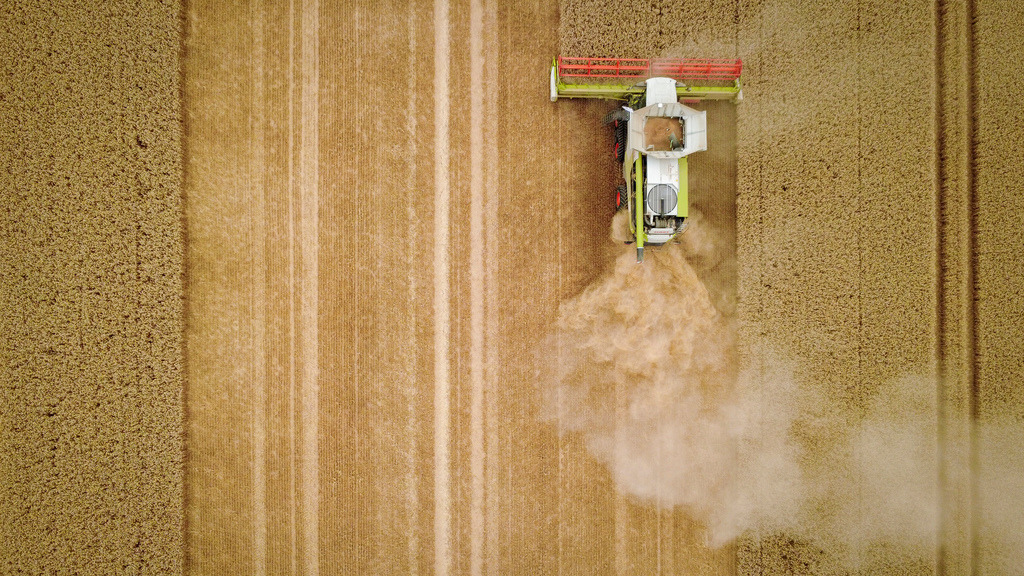 2026-07-13sig227bap | Ditzingen Schöckingen - Da die Hitzewelle und die Dürre weiterhin anhalten, stehen die Landwirte bei der Ernte vor immer größeren Herausforderungen, unter anderem aufgrund der riesigen Staubmengen, die dabei aufgewirbelt werden - Realisiert mit Pictrs.com