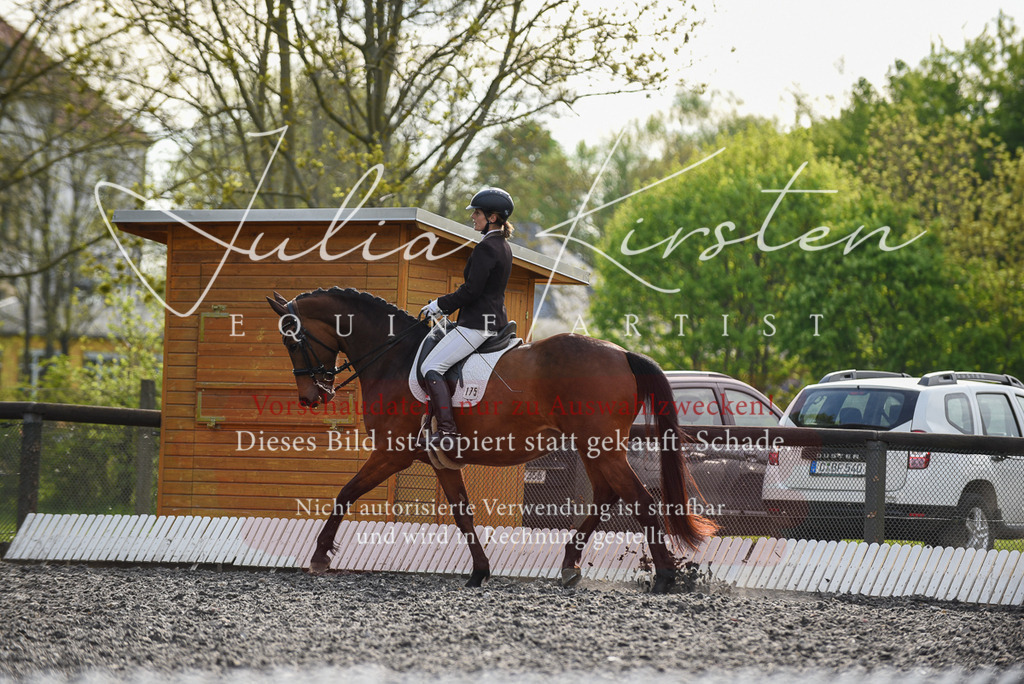20230513_JK-Röhrsdorf-17-353 | Pferde- und Turnierfotografie in Westsachsen. Pferdeportraits, Auftragszeichnungen und intuitive Kunst.