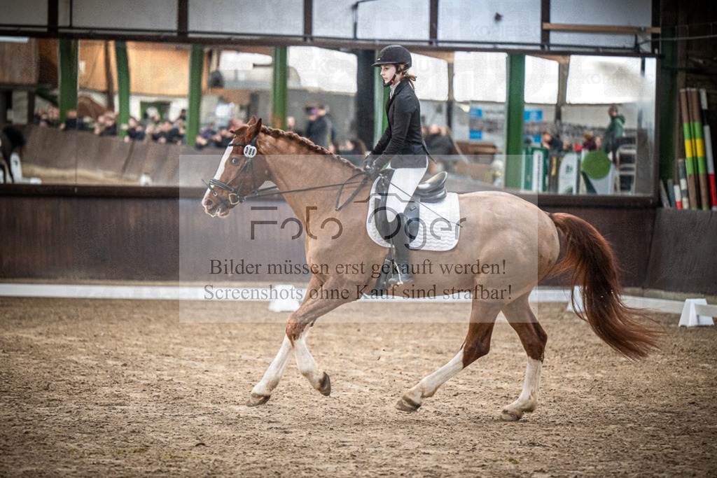 DOS_0701 | Entdecke hochwertige Reitturnierfotos von Foto Oger. Professionell, emotional und authentisch – jetzt Lieblingsmomente im Shop bestellen.Deutschlandweite Turnierfotografie. - Realisiert mit Pictrs.com