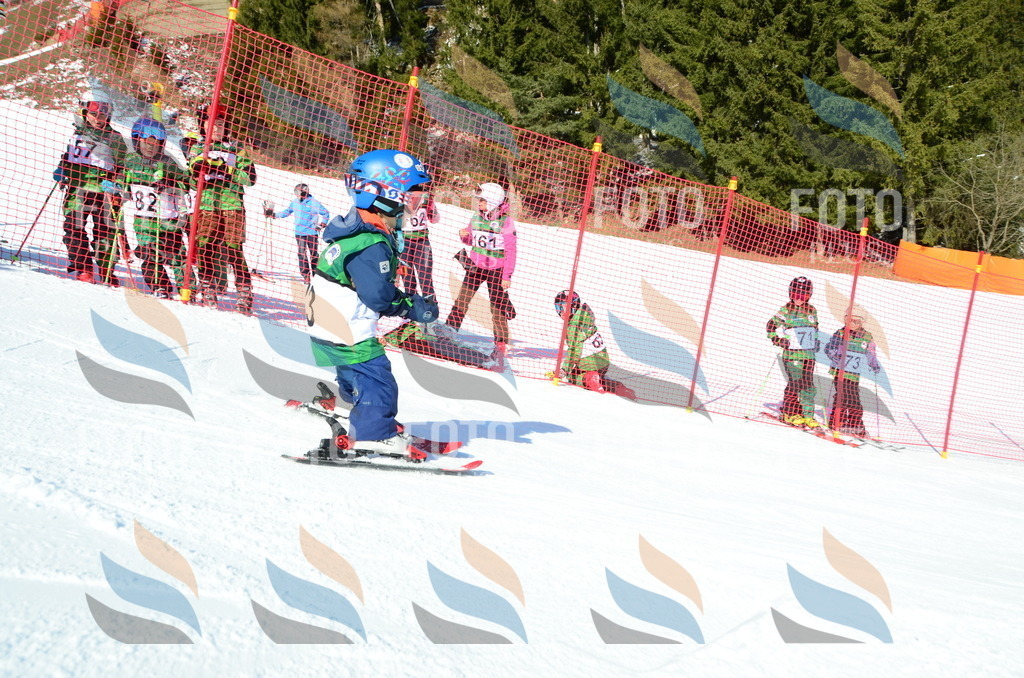 C4935 | holidayphoto