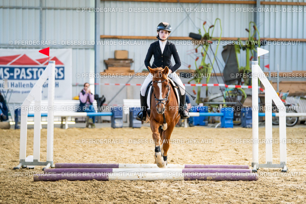 DSC01662 | Pferdegrafie