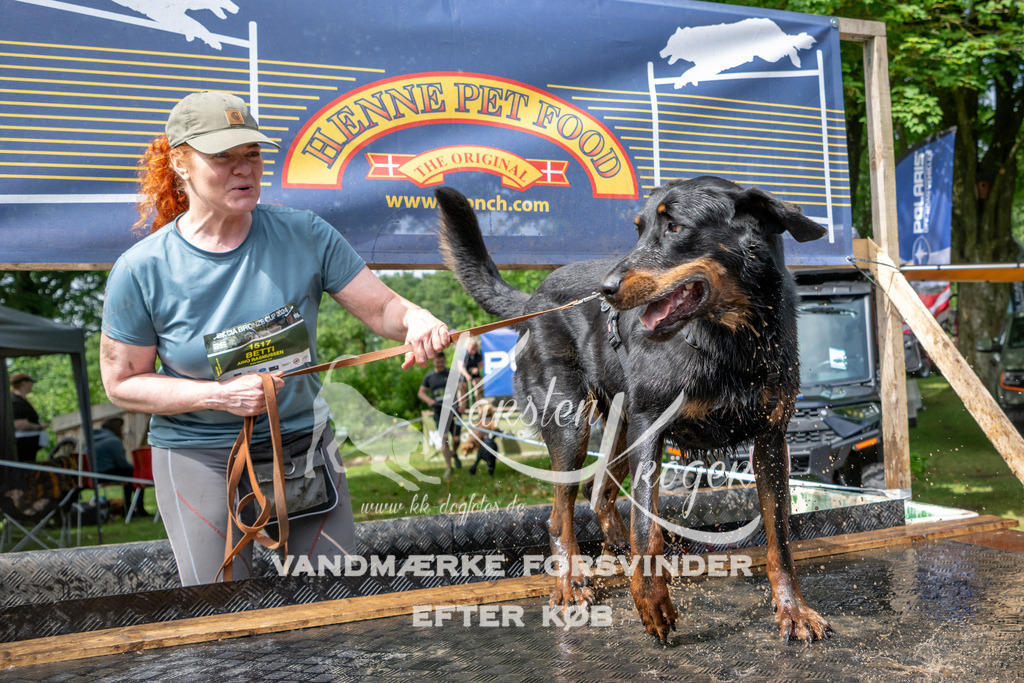 1031_ZZ91141 | kk-dogfotos