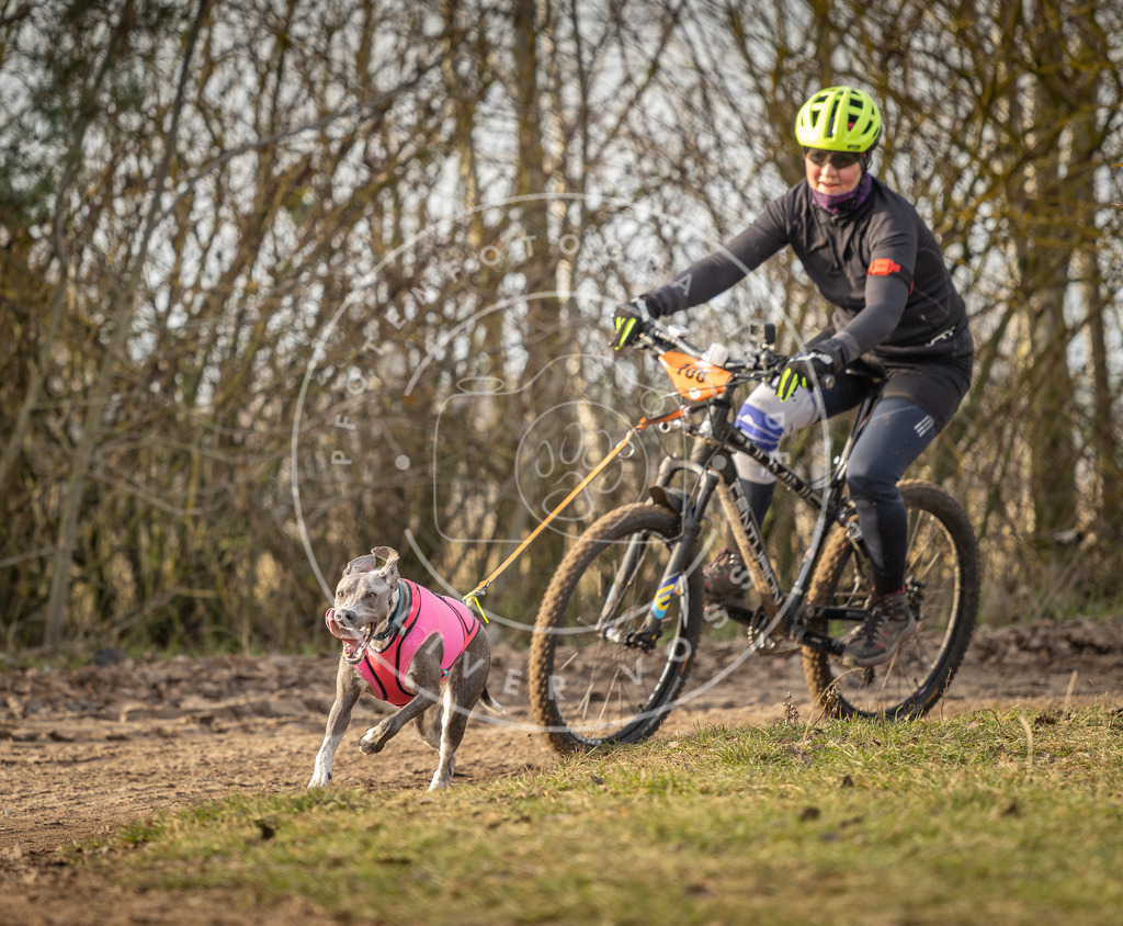 Pfotenfotografie_DV3A8562 | Hundefotografie, Tierfotograf, Pfotenfotografie, Fotoshooting Hund, Hunde Portrait, Hundesport, Hundeportraits, Heideshooting, Hunde, Sportfotograf, Hundefotograf, Turnierhundsport, THS,  - Realisiert mit Pictrs.com