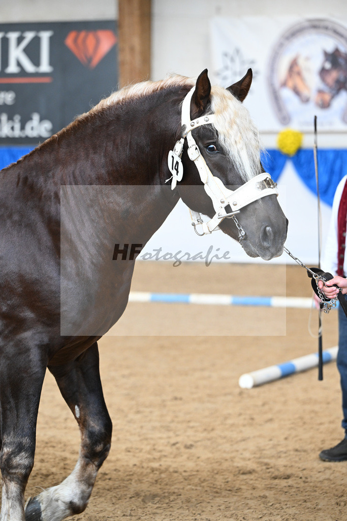 Kat-Nr. 14 nn v. Venturin_Bauer_39250204 | hf-fotografie - Realizzato con Pictrs.com