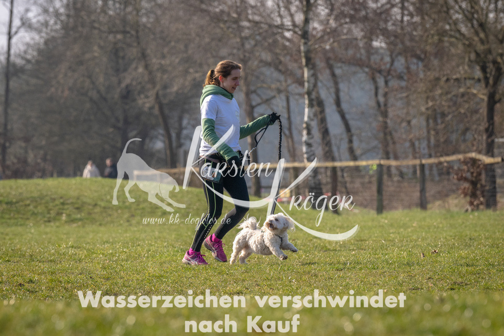 _ZZ93657 | kk-dogfotos