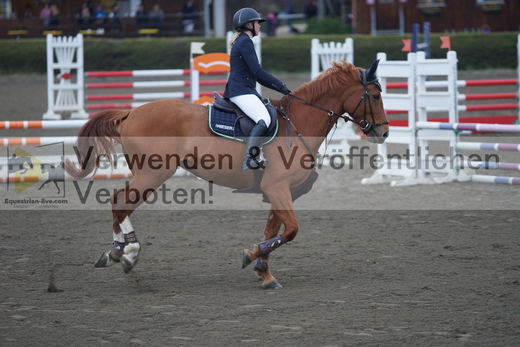 DSC00221 | equestrian-live-com