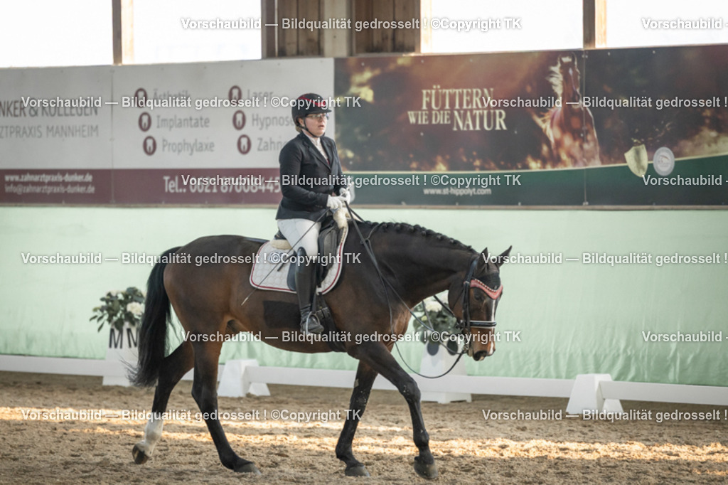 _D5A3373 | Emotionale Pferde- & People-Fotografie rund um Heidelberg, Leimen & Umgebung. Natürliche Fotos von Pferd, Mensch & Familie. Jetzt Termin sichern!