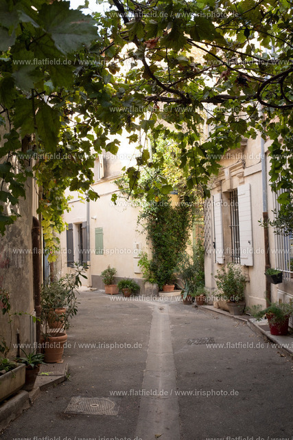 Grüne Gasse in Arles | Foto aus Arles