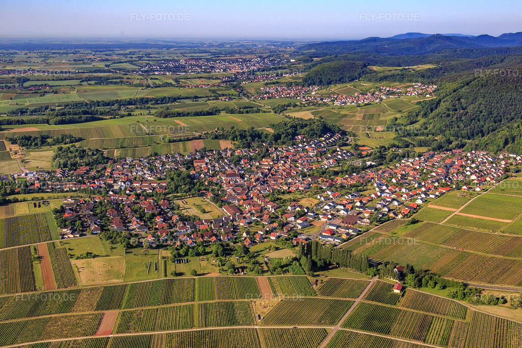 Luftbild: Ortsansicht am Haardtrand aus Norden in Klingenmünster im Bundesland Rheinland-Pfalz in Deutschland. Foto: IMG_080088.jpg vom 05.06.2015 durch Werner Riehm/FLY-FOTO.de