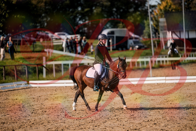 2026_10_03_Siefer-Hof_120750_Z63_36905946 | Professionelle Reitsport-, Turnier- und Eventfotografie von Robert Broda. Galerien mit ausgewählten und bearbeiteten Bildern direkt online ansehen und bestellen.