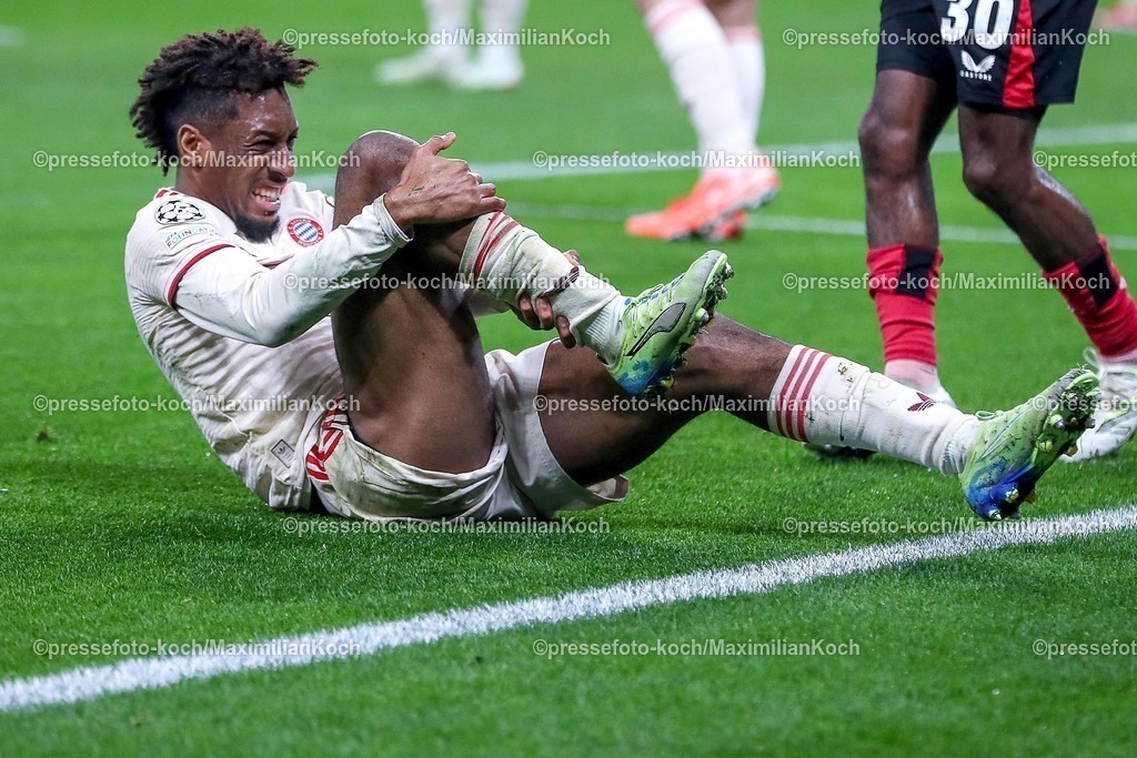 UCL11032501025 | 11.03.2025, Fußball, UEFA Champions League, Bayer 04 Leverkusen - FC Bayern München, Achtelfinale Rückspiel, BayArena, Saison 2024 2025: Kingsley Coman (FC Bayern #11) liegt mit Schmerzen auf dem SpielfeldDFB regulations prohibit any use of photographs as image sequences and or quasi-video.