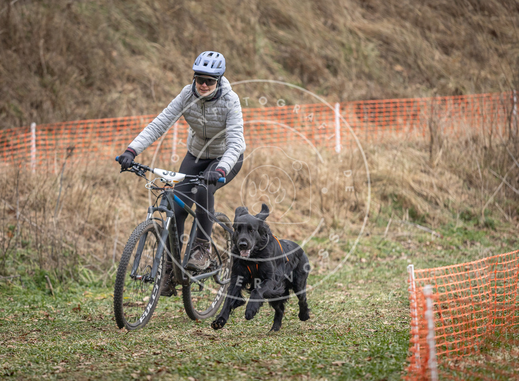 Pfotenfotografie_DV3A9952 | Hundefotografie, Tierfotograf, Pfotenfotografie, Fotoshooting Hund, Hunde Portrait, Hundesport, Hundeportraits, Heideshooting, Hunde, Sportfotograf, Hundefotograf, Turnierhundsport, THS,  - Realisiert mit Pictrs.com