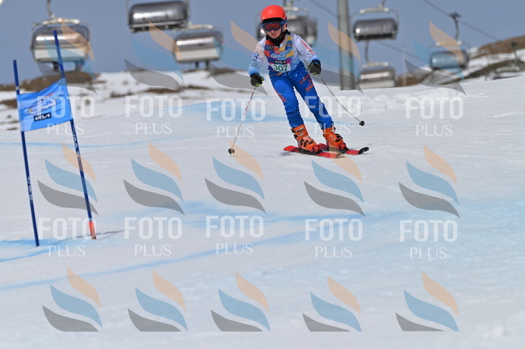 BGV_6088 | holidayphoto