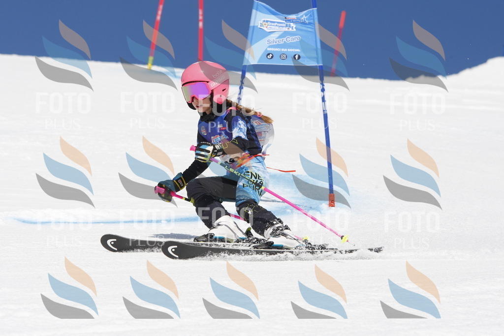 _W1G1900 | holidayphoto