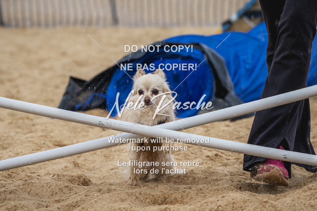 nelerasche_BuHu2026_So1330-1430_269 | nelerasche