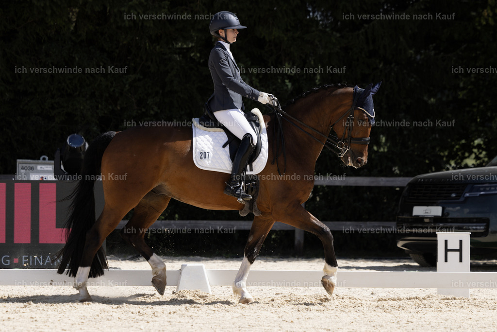 FHC2026_P02_207_13410 | Fichtenhof Classics 2026 – Dressurturnier, Reitanlage Fichtenhof, Schäftlarn