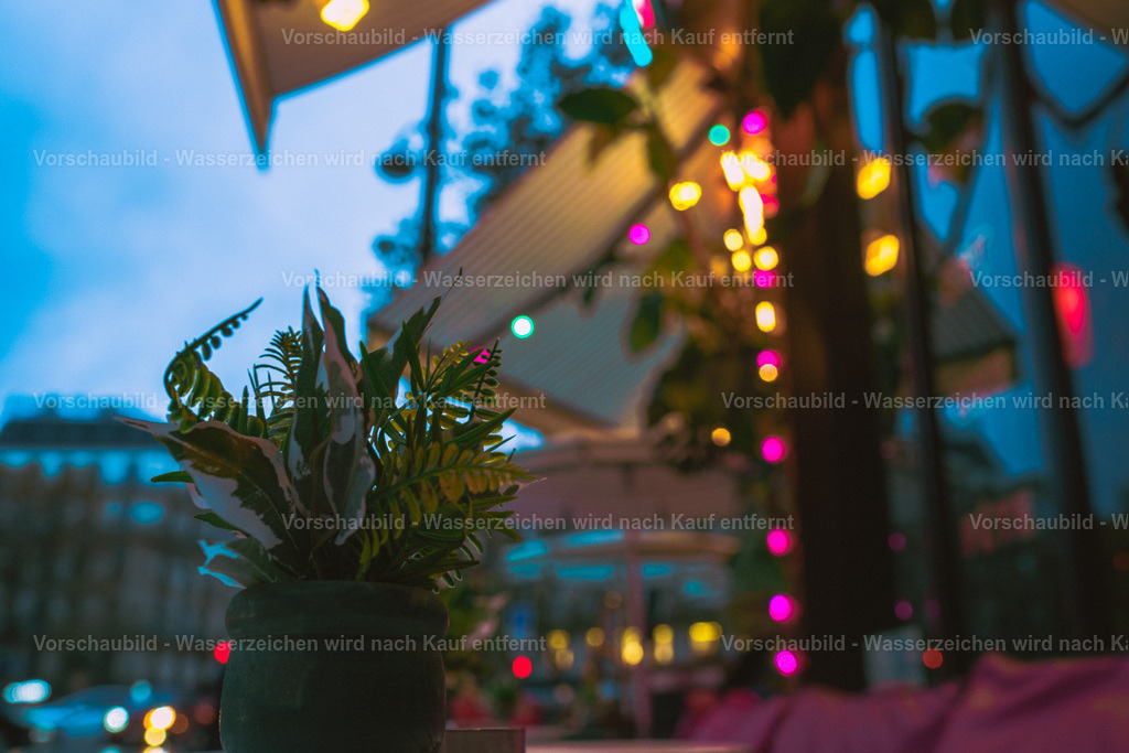 DSC09047 2 | marcuslinek