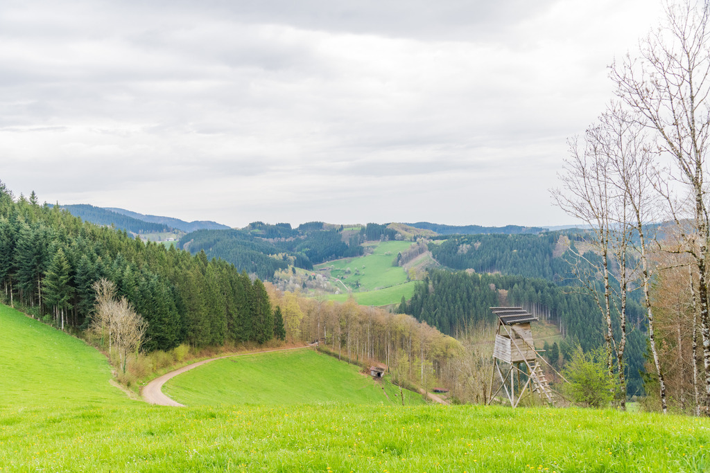 Ausblick Oberbüchern | ausblick beim Neumättle - Realisiert mit Pictrs.com