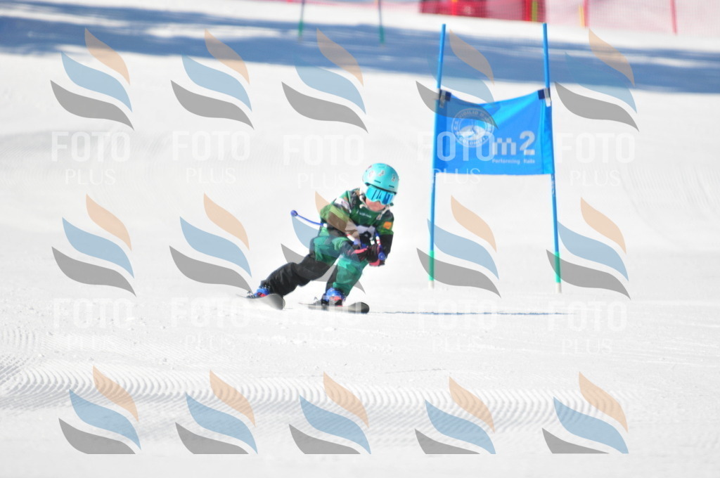 C2746 | holidayphoto