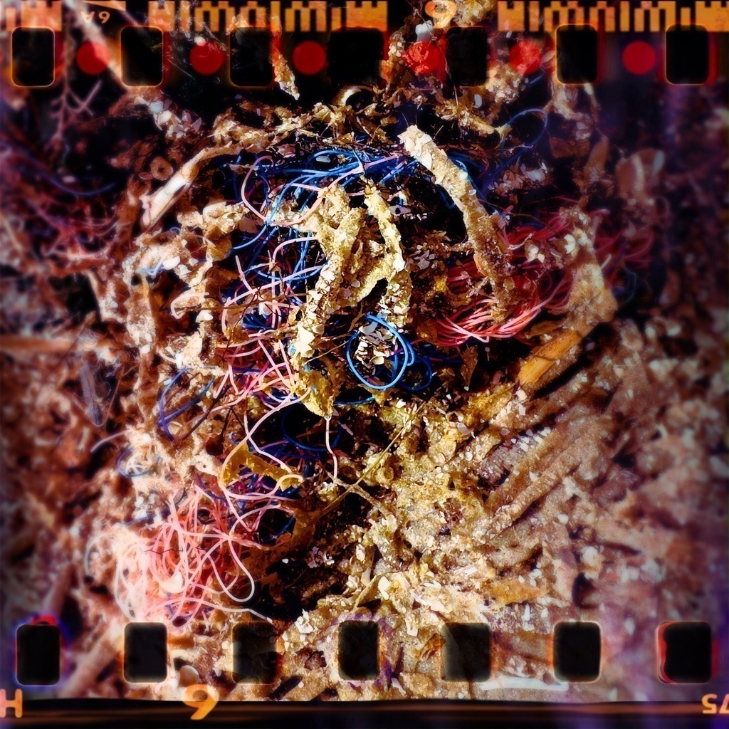 Meermüll XXI | Entdecken Sie einzigartige Kunstprints und kreative Designs auf print.sinnesreiz.art – hochwertige Drucke, die Ihre Sinne inspirieren und Räume lebendig machen. - Realisiert mit Pictrs.com