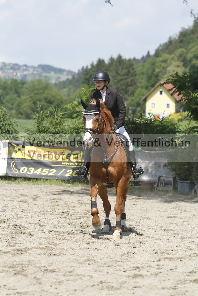 _MG_0838 | equestrian-live-com