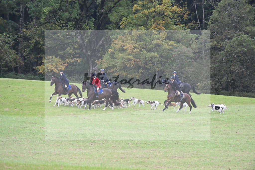 5622099 | hf-fotografie - Realizzato con Pictrs.com