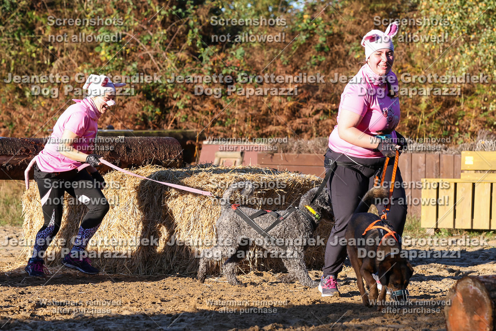 Dog Paparazzi - Strongdog 10-25-1059 | Dog Paparazzi Jeanette Grottendiek Fotografie & Videografie - Realisiert mit Pictrs.com