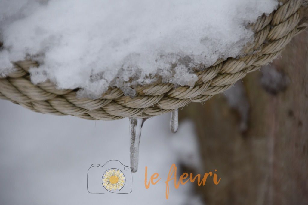 DSC_0259 | Dies ist der Shop von Florian Blum - le fleuri. Langenthal, Bern, Schweiz. Sie können hier meine oder ihre eigenen Fotos als Fotoprodukte kaufen. Tassen, Schlüsselanhänger, Taschen etc. können Sie hier gestalten.  - Realisiert mit Pictrs.com