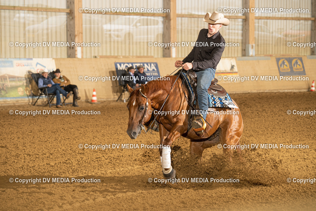 LAU00484 | dv-media-shop - Realisiert mit Pictrs.com