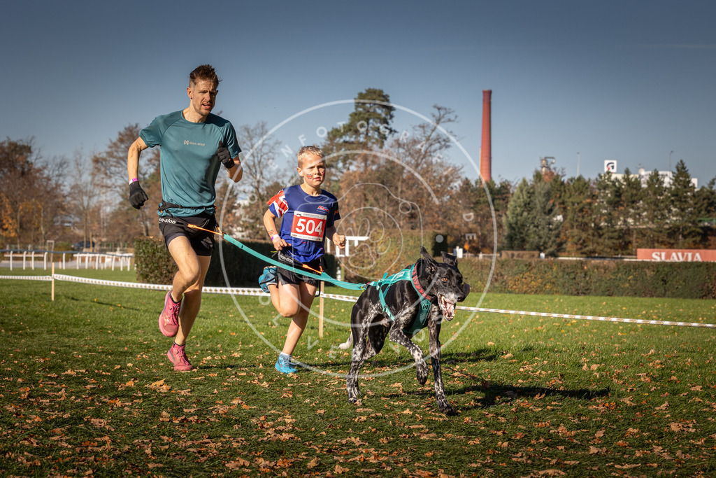 CaniXpix_0L8A6632 | Hundefotografie, Tierfotograf, Pfotenfotografie, Fotoshooting Hund, Hunde Portrait, Hundesport, Hundeportraits, Heideshooting, Hunde, Sportfotograf, Hundefotograf, Turnierhundsport, THS,  - Realisiert mit Pictrs.com