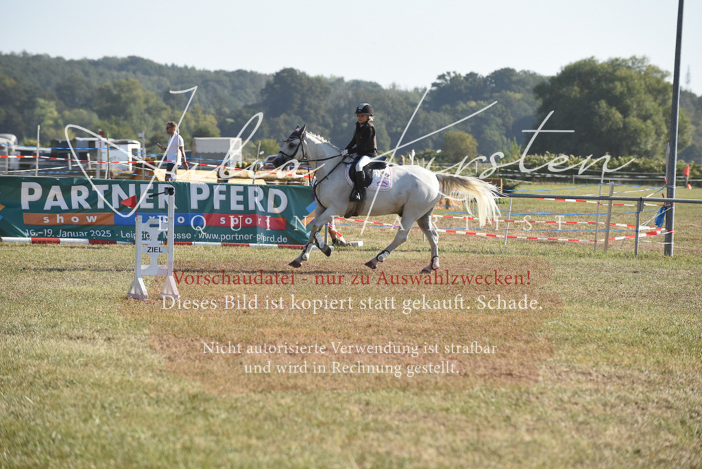 DSC_5717 | Pferde- und Turnierfotografie in Westsachsen. Pferdeportraits, Auftragszeichnungen und intuitive Kunst.