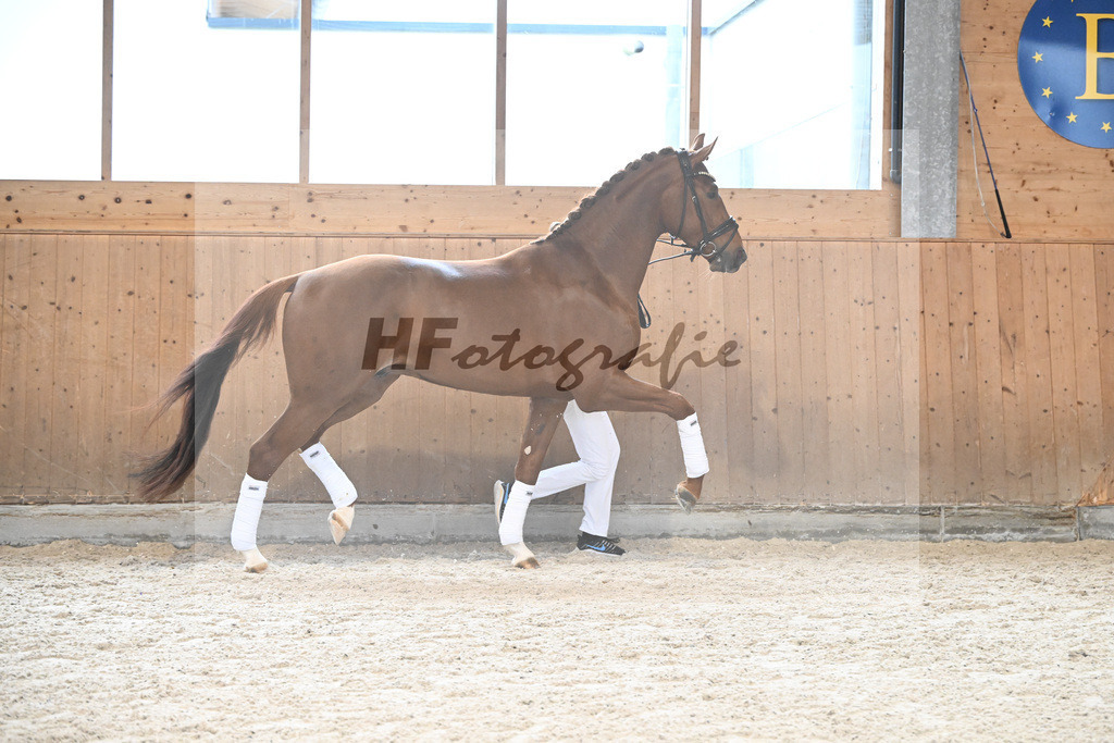 Devotion_7240550 | hf-fotografie - Realisiert mit Pictrs.com