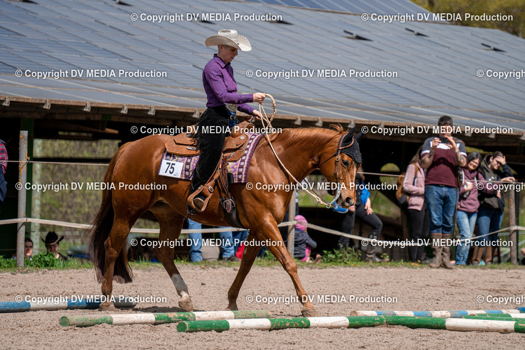 BAL02388 | dv-media-shop - Realisiert mit Pictrs.com