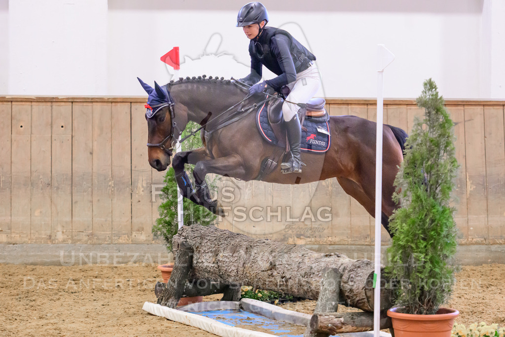 29032026-Schwaiganger-Prfg03-1-1244 | Fokus Hufschlag Fotografie - Realisiert mit Pictrs.com