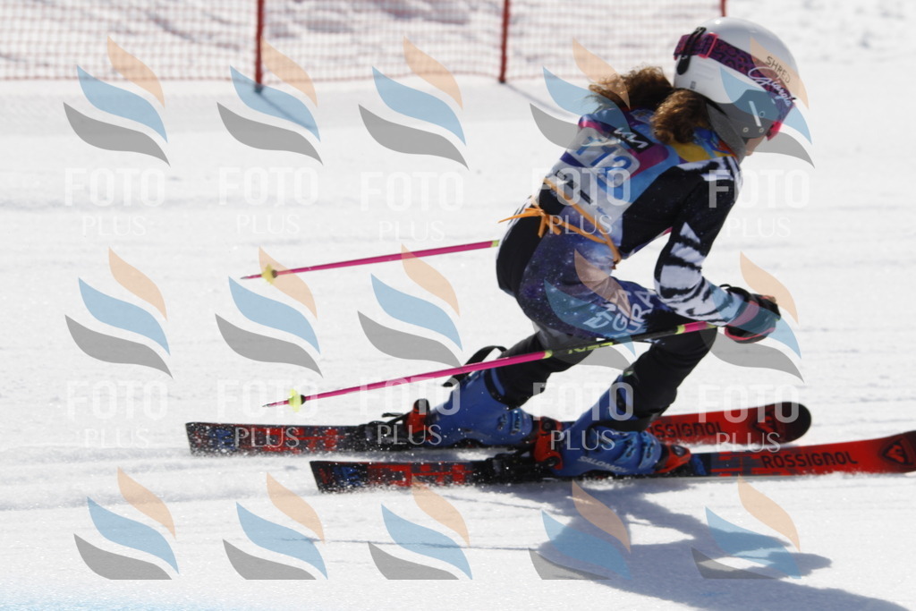 _U3G0550 | holidayphoto