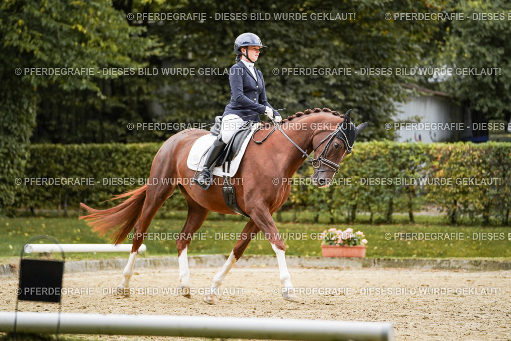 DSC06823 | Pferdegrafie