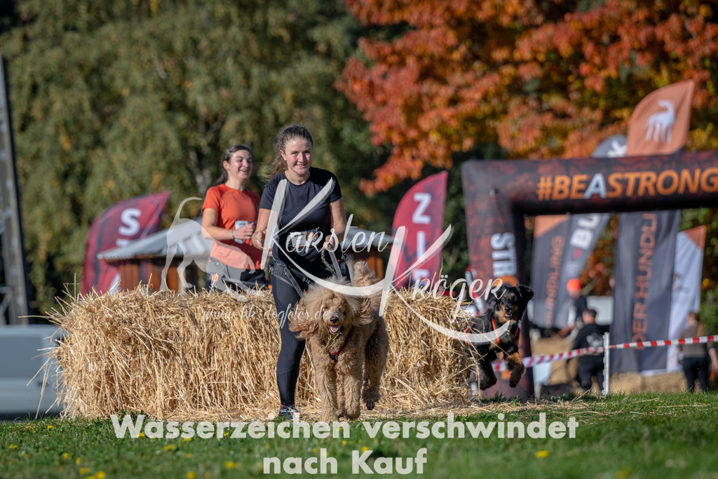 1102_ZZ92515 | kk-dogfotos