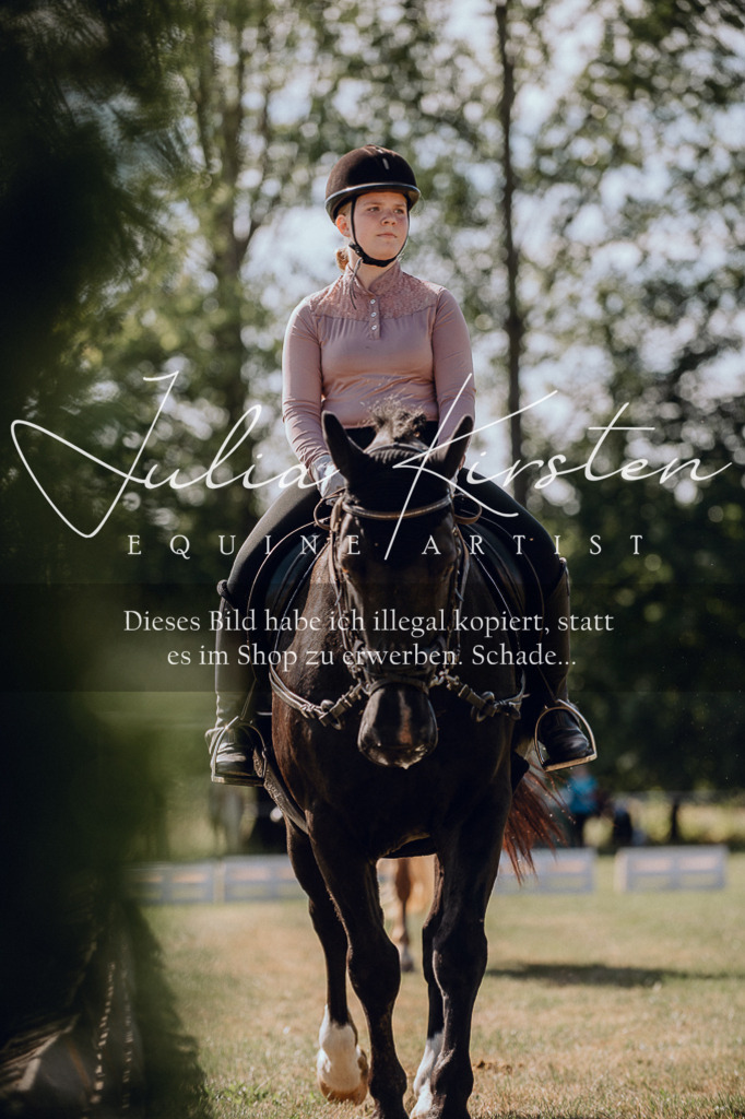 DSC_7143 | Pferde- und Turnierfotografie in Westsachsen. Pferdeportraits, Auftragszeichnungen und intuitive Kunst.