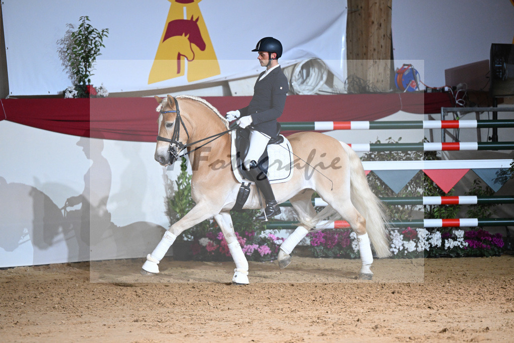 Amiro_1234329 | hf-fotografie - Realisiert mit Pictrs.com